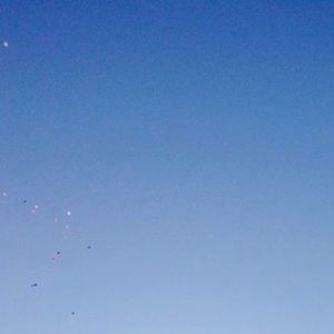 Meet your Posher, Cynthia